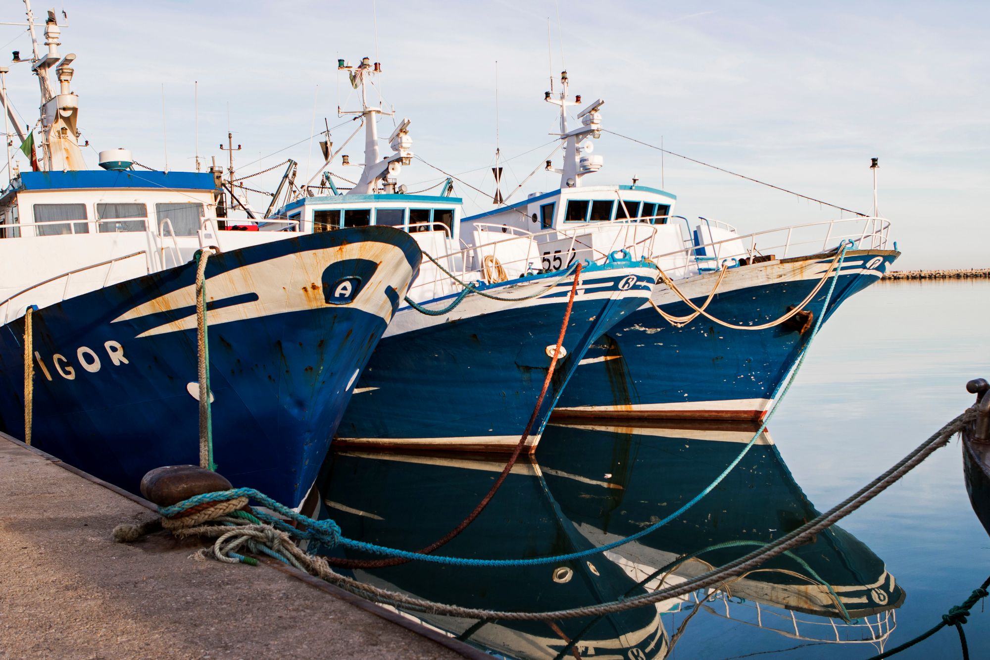 24小時申訴專線頁首圖片